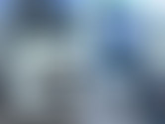 Vokietijoje ieškomą vilkiką „Volvo“ ketinta nuvairuoti į Baltarusiją