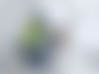 Rokiškio rajono policininkai išgelbėjo kelyje gulėjusį ir sušalusį stirniuką