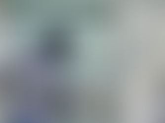 Policija fiksuoja būstų vagysčių mažėjimą, bet ekspertai įspėja 