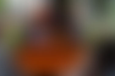 Adventure before Dementia