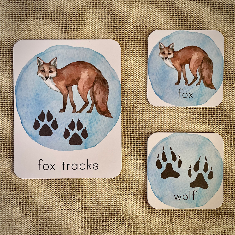 Thumbnail: Woodland animal tracks Cards and Matching activity