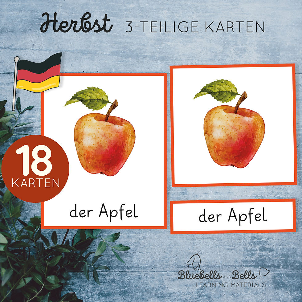 Herbst Bildkarten Kindergarten Montessori 3-teilige Karten.