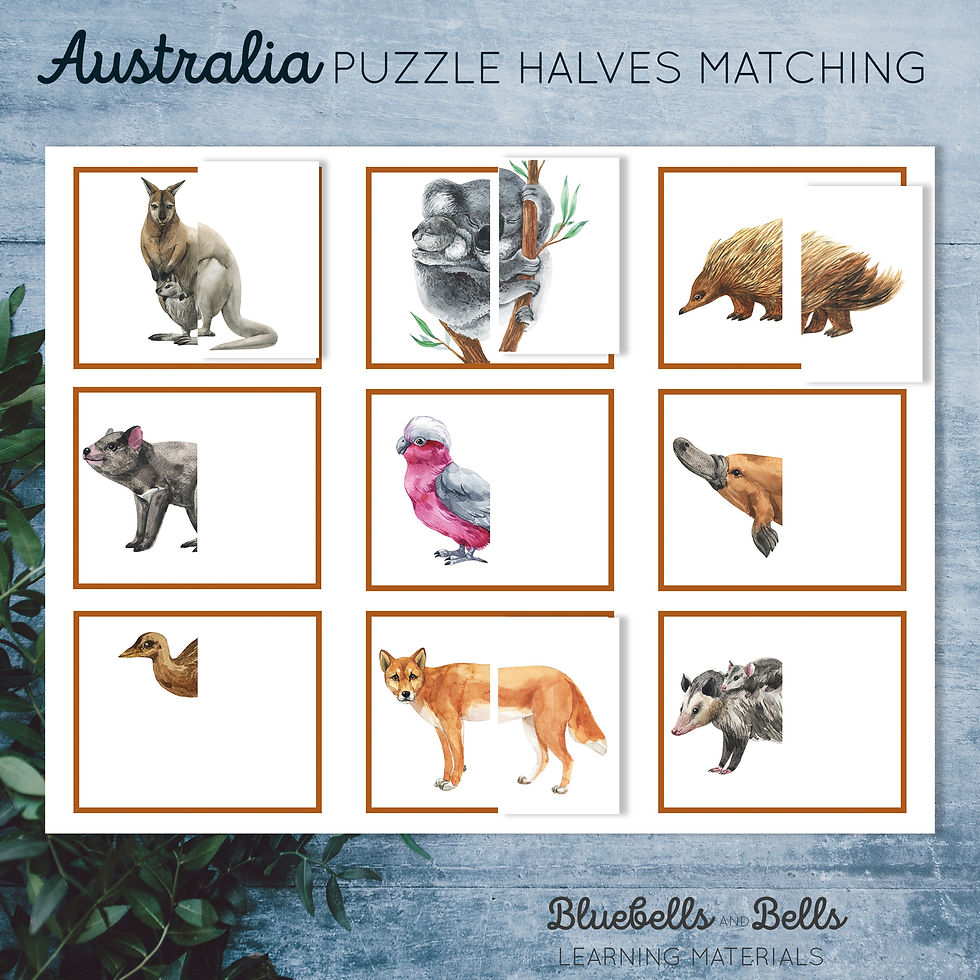 Australia animal printable puzzle Halves matching