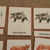 Thumbnail: Australia animals Montessori 3-part cards