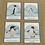 Thumbnail: Penguins of the World cards