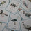 Thumbnail: Birds of the world Cards