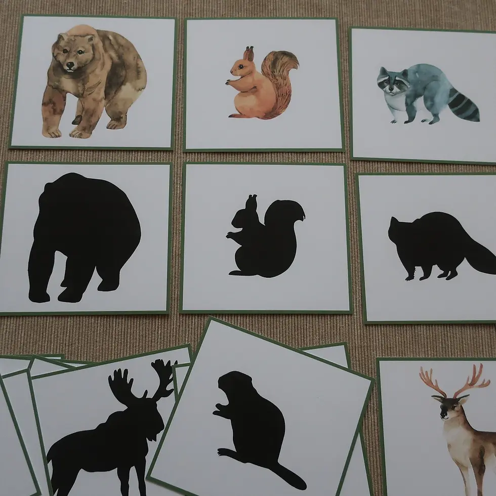 Thumbnail: Woodland animals cards Shadow matching