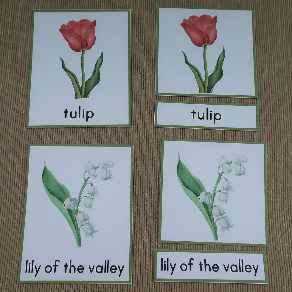 Thumbnail: Flowers Montessori Three part cards