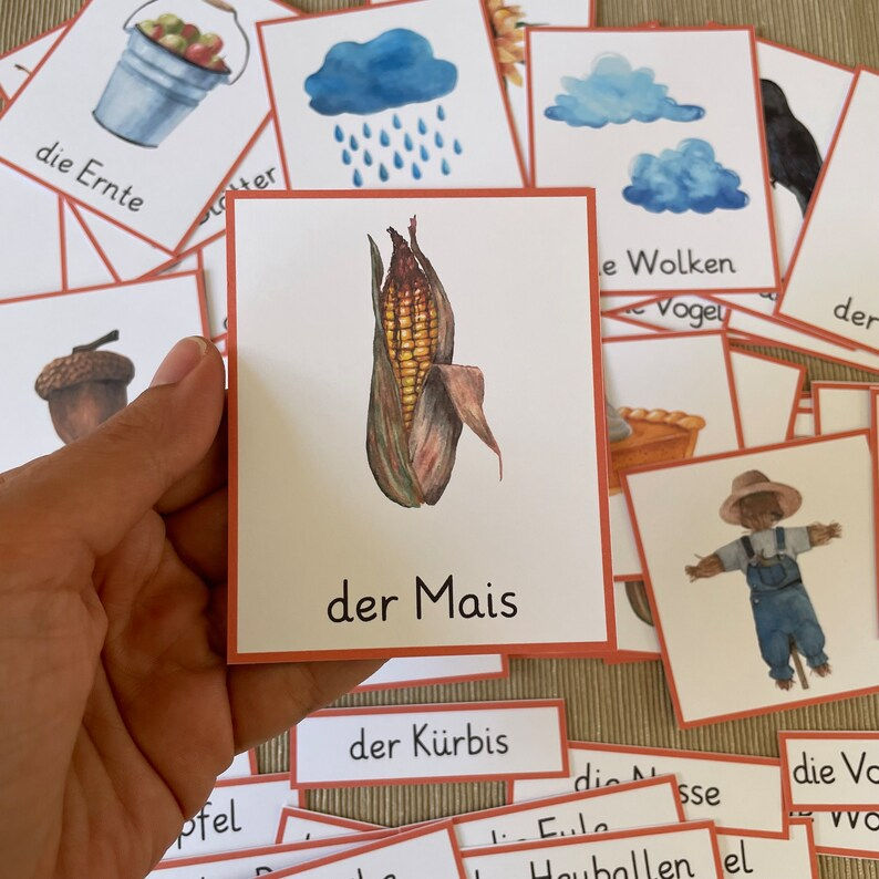 Thumbnail: Herbst Bildkarten Kindergarten Montessori 3-teilige Karten.