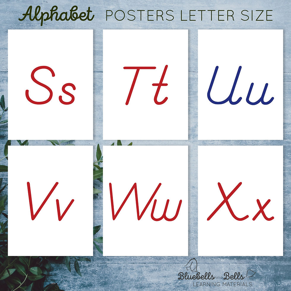 Thumbnail: PDF printable Montessori Alphabet letter size posters with D'Nealian uppercase and lowercase letters in blue and red