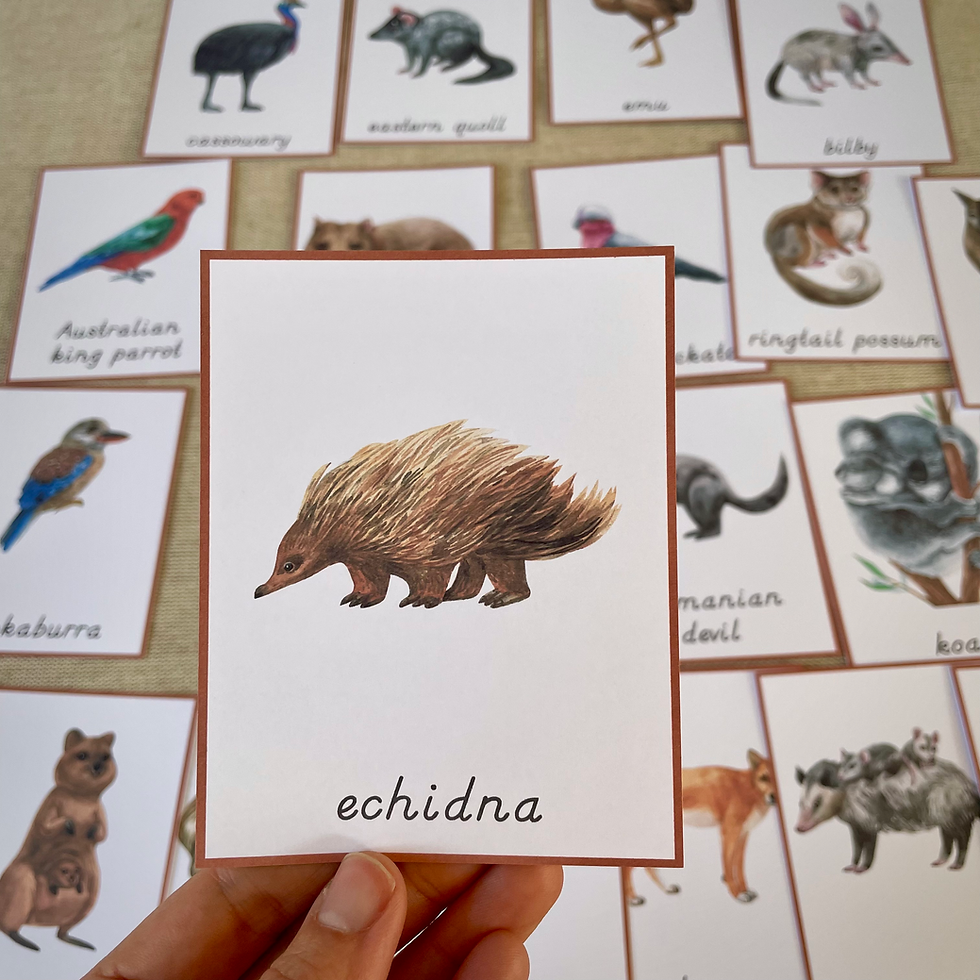 Thumbnail: Australia animals cards