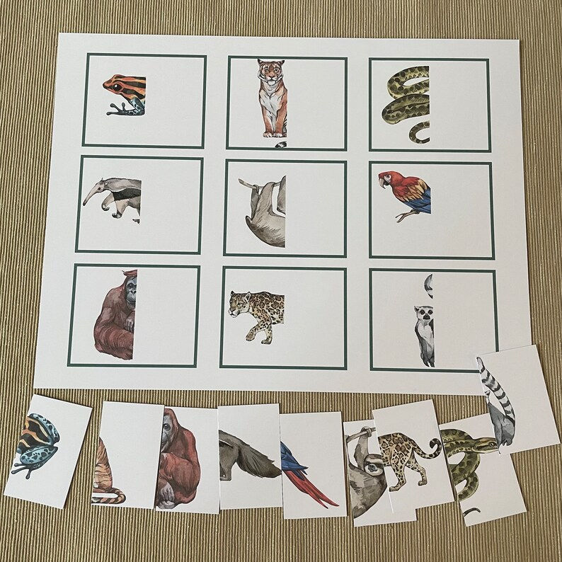 Thumbnail: Montessori toddler printable puzzle Rainforest animals Halves matching