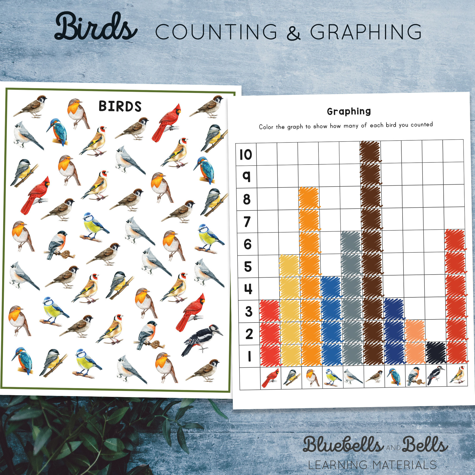 Birds Graphing activity. Kindergarten math printable.