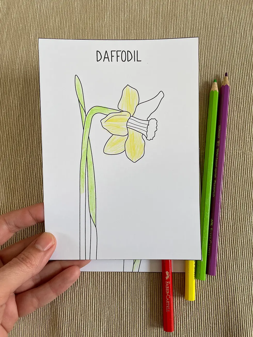 Thumbnail: Spring flowers coloring pages printable PDF.