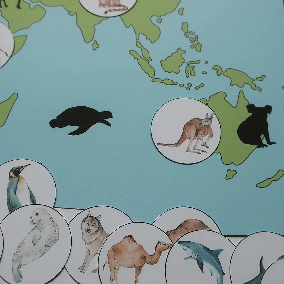 Thumbnail: Animals of the World. Shadow matching map