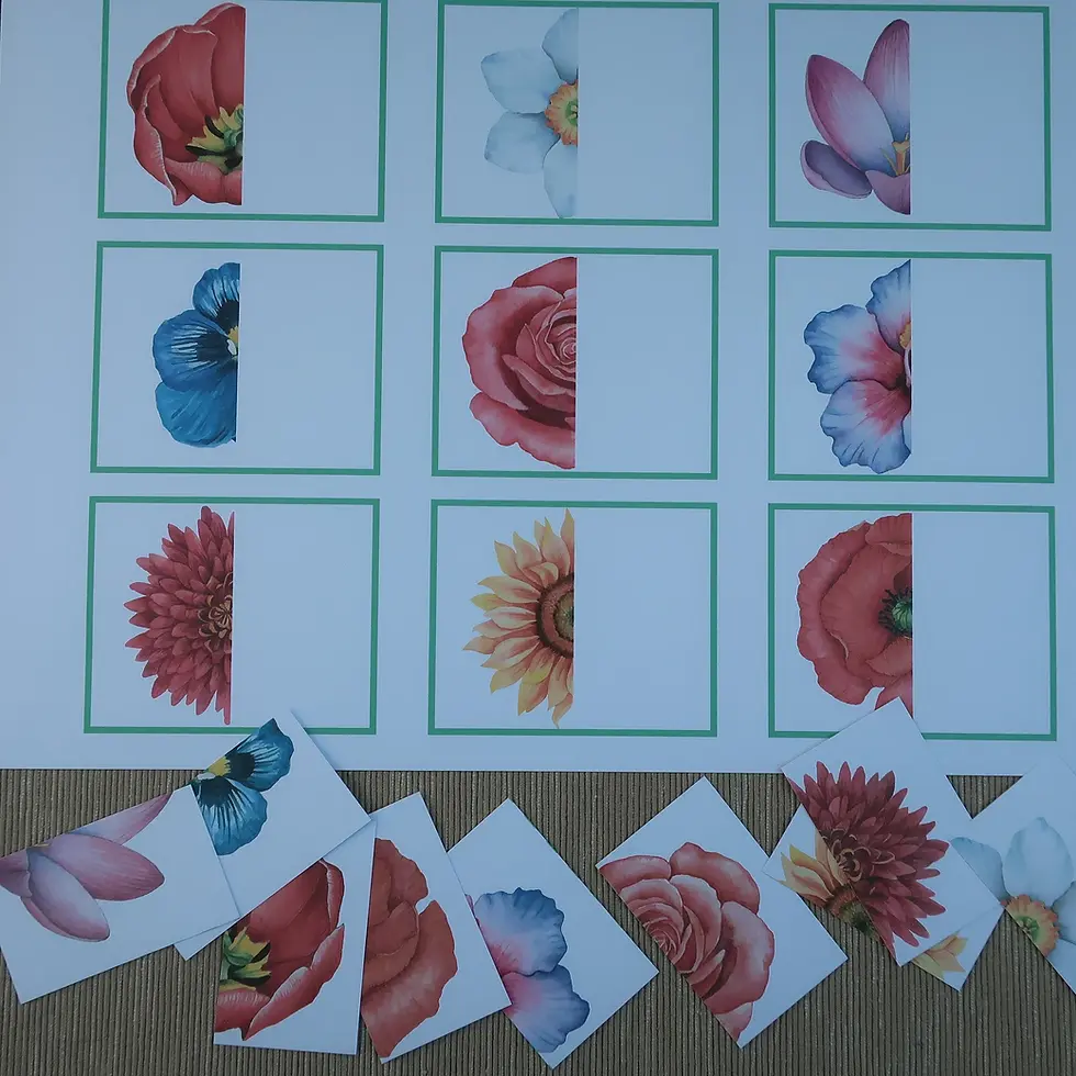 Thumbnail: Montessori Toddler puzzle Flowers Halves matching