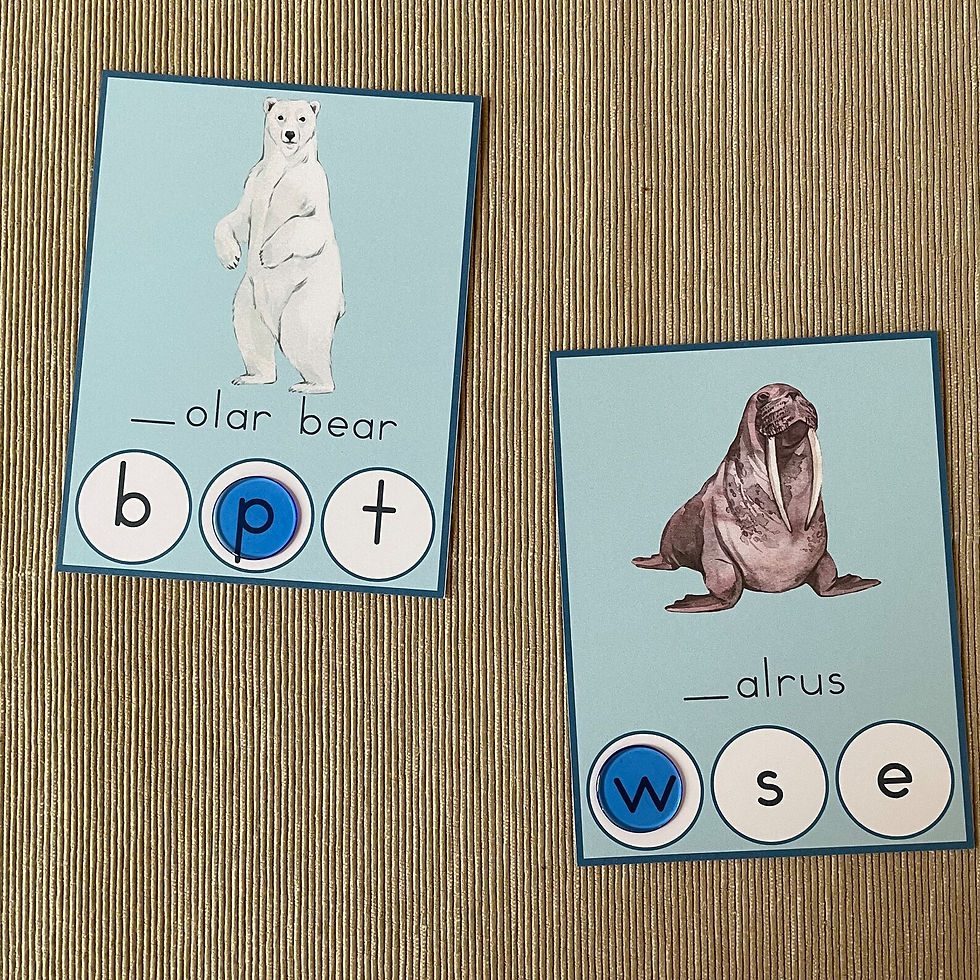 Thumbnail: Arctic animals printable Beginning sound Clip cards