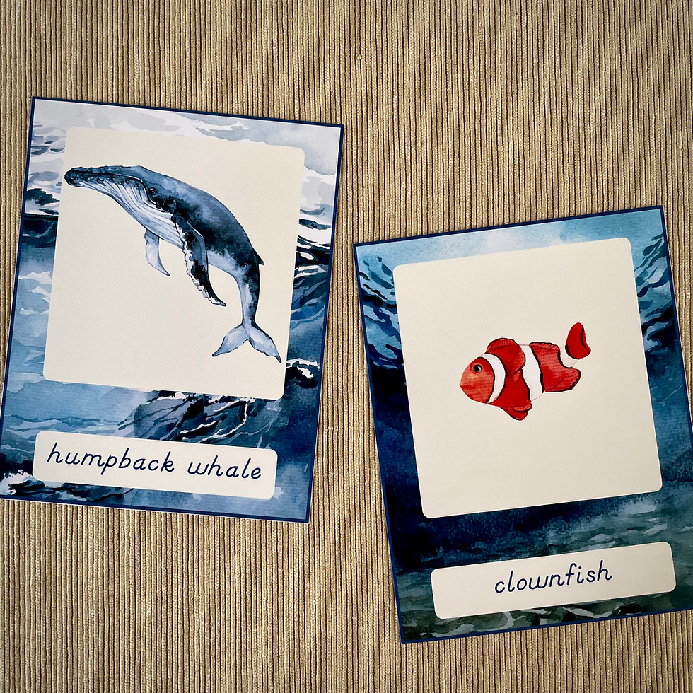 Thumbnail: Ocean Animals cards printable watercolor
