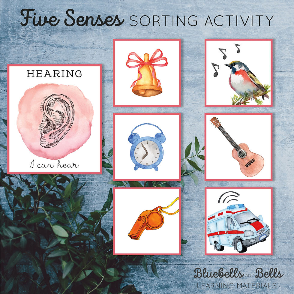 Thumbnail: Five senses Cards for sorting