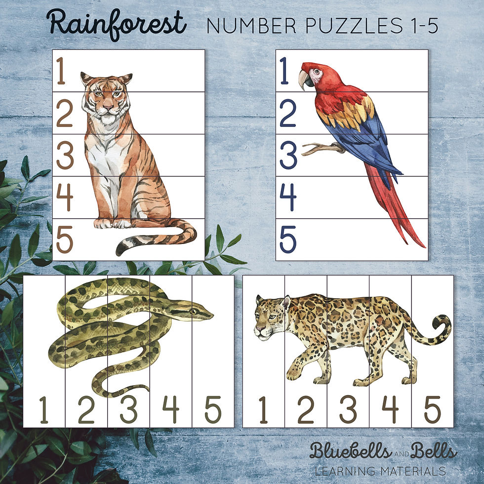 Rainforest animals Puzzle Number sequence 1-5