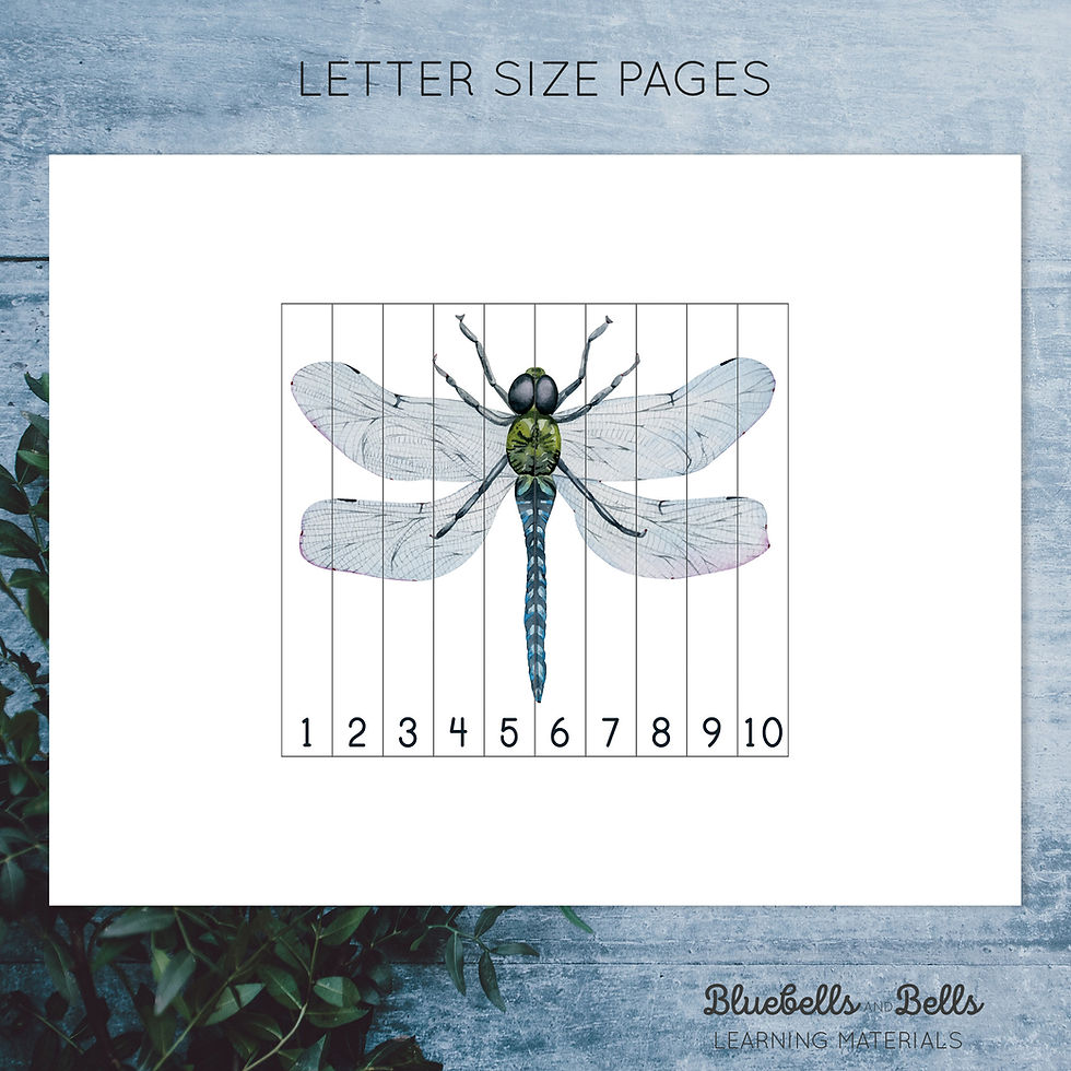 Thumbnail: Insect puzzle Number sequence 1-10