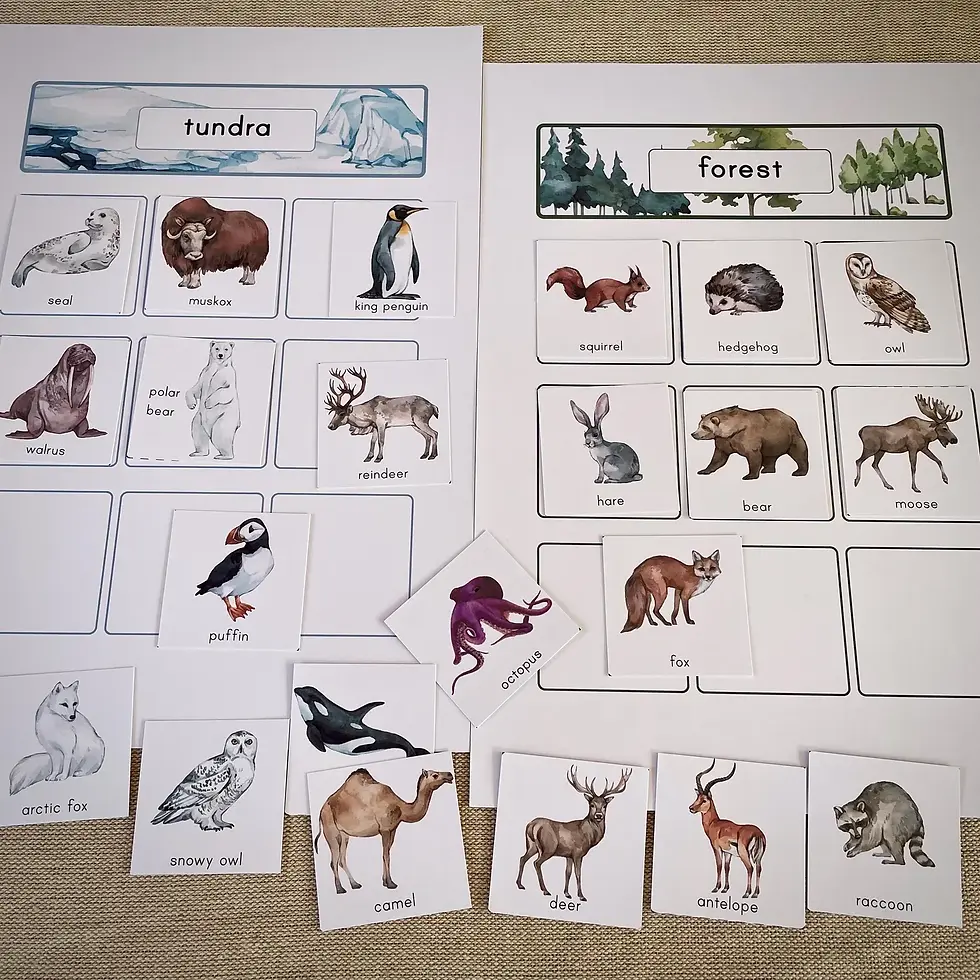Thumbnail: Animal Habitats Sorting activity and Chart