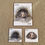 Thumbnail: Animal homes flashcards and matching activity