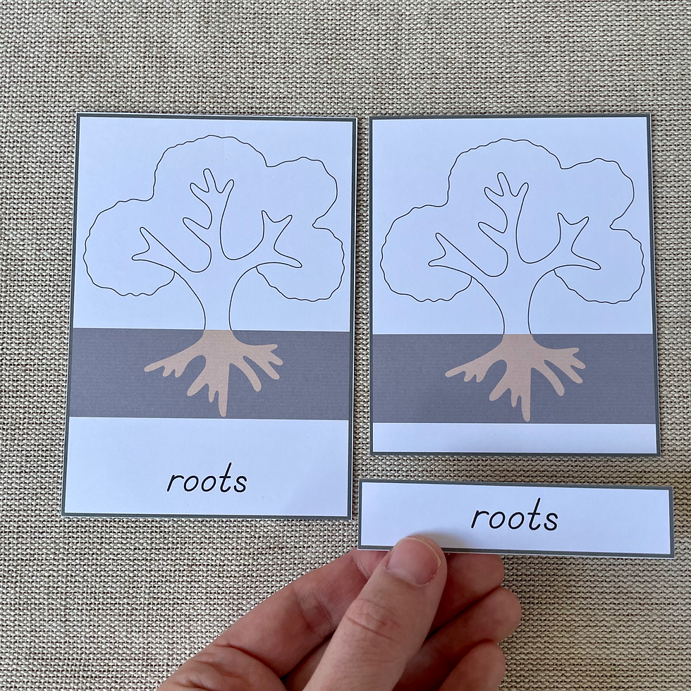 Thumbnail: PDF Parts of a Tree nomenclature cards, chart, blank chart, and blackline master