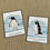 Thumbnail: Penguins of the World cards