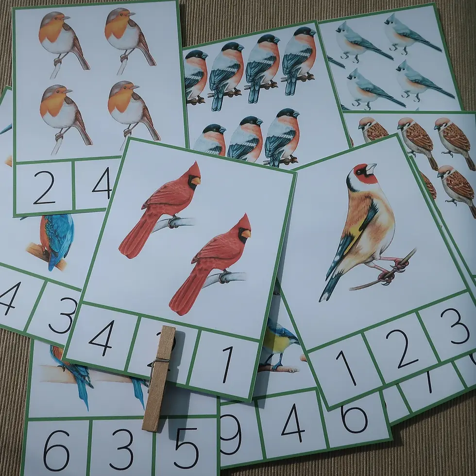 Thumbnail: Birds preschool printable Count and clip cards