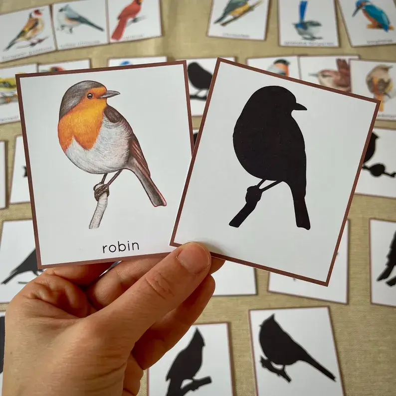 Thumbnail: Toddler printable Shadow matching cards Birds