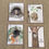 Thumbnail: Animal homes flashcards and matching activity