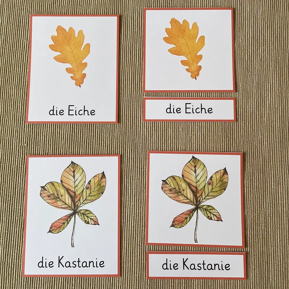 Thumbnail: Baumblätter Bildkarten Montessori 3-teilige Karten. Herbst Kindergarten.