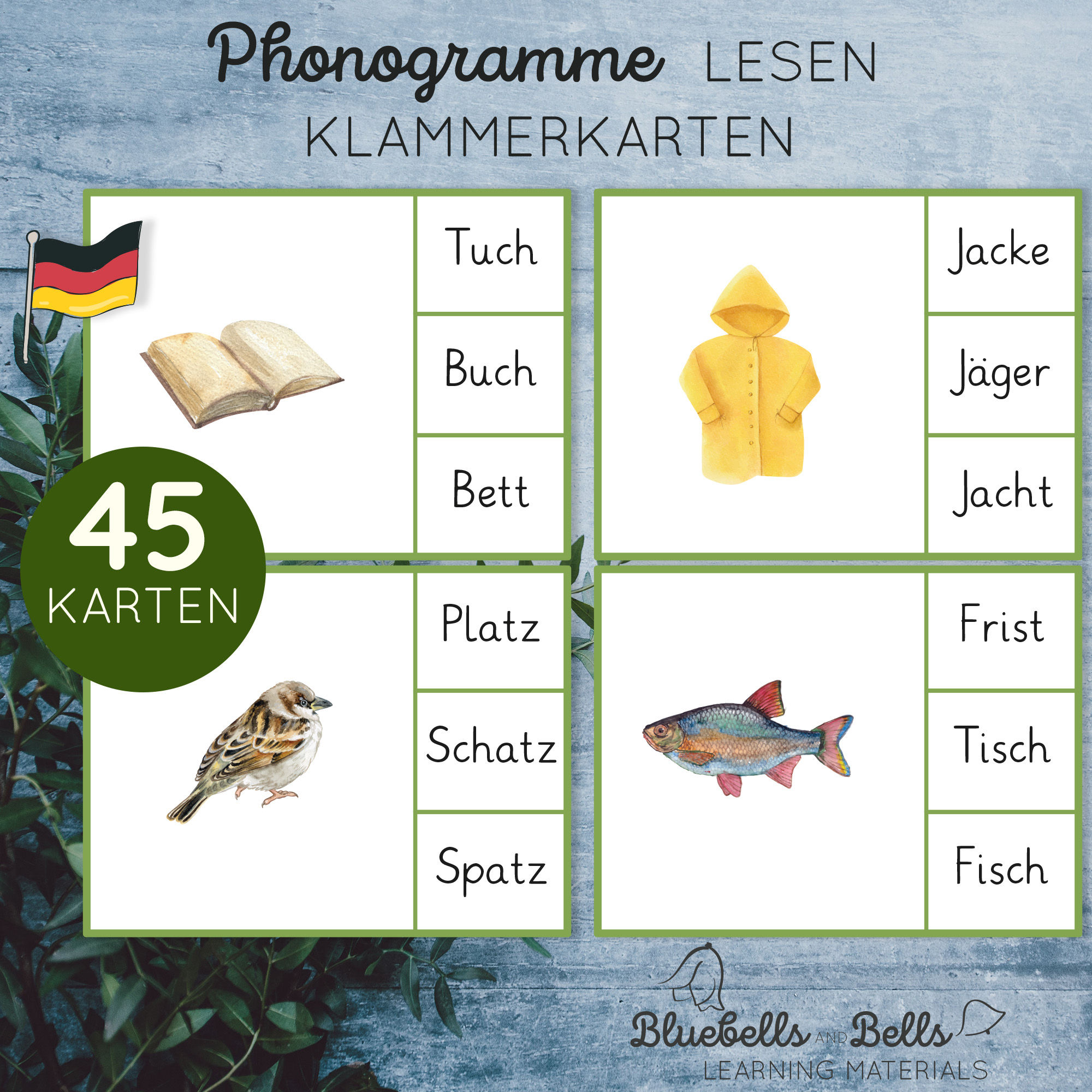 Montessori Lesen Klammerkarten. Anlaute lernen. Phonogramme.