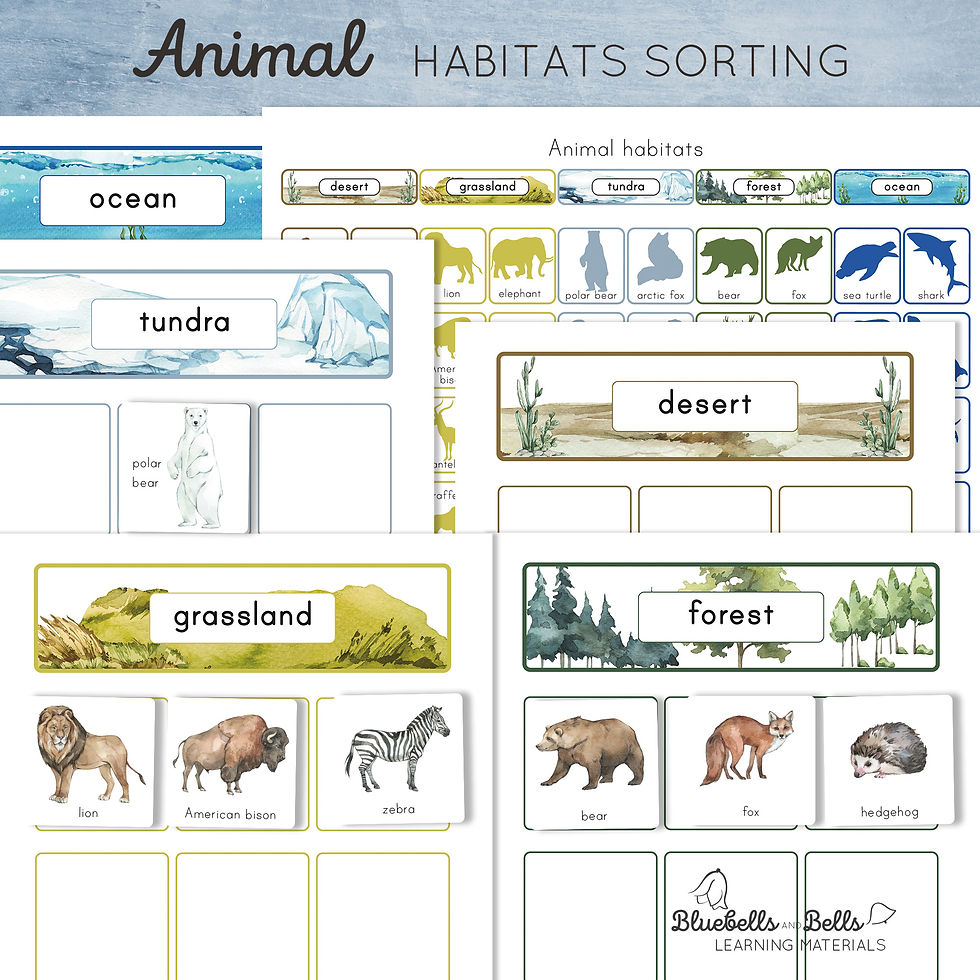 Animal Habitats Sorting activity and Chart