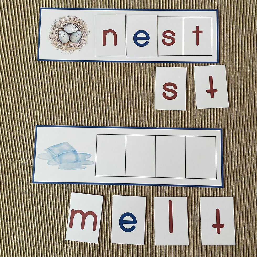 Thumbnail: Montessori moveable alphabet printable cards Ending blends words.