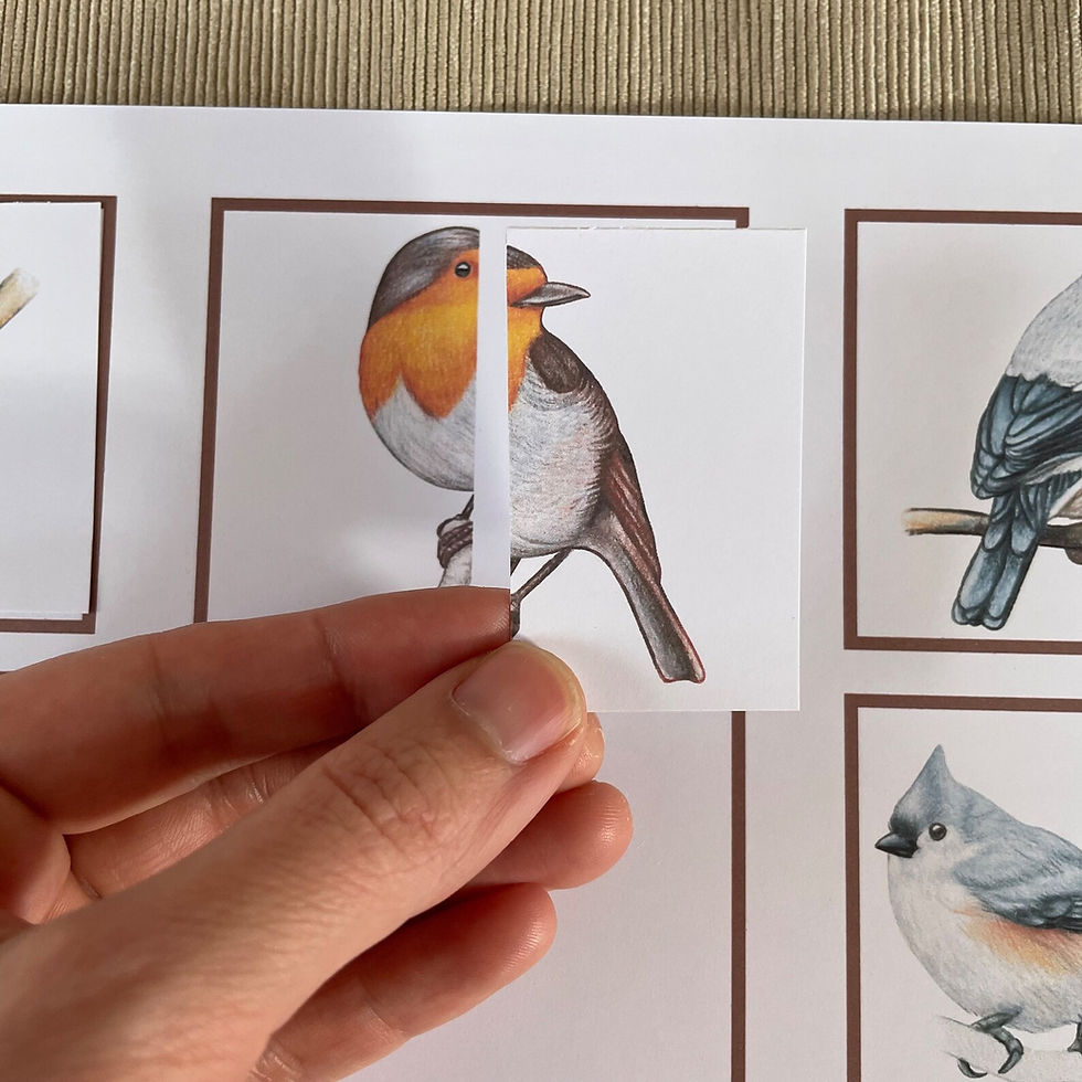 Thumbnail: Toddler Montessori puzzle Birds Halves matching.