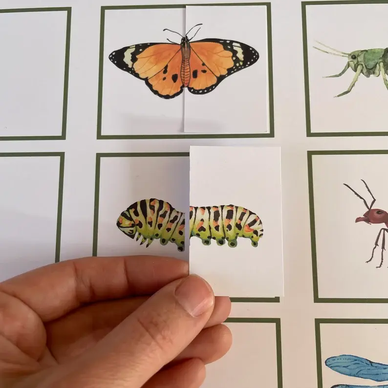 Thumbnail: Toddler printable Insects puzzle Halves matching