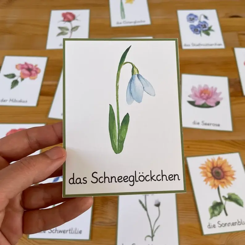 Thumbnail: Blumen Bildkarten
