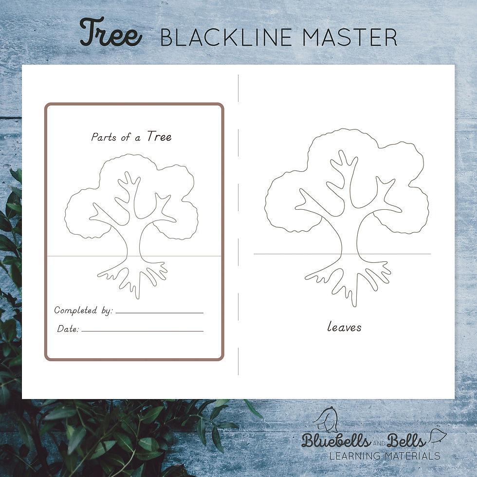 Thumbnail: PDF Parts of a Tree nomenclature cards, chart, blank chart, and blackline master