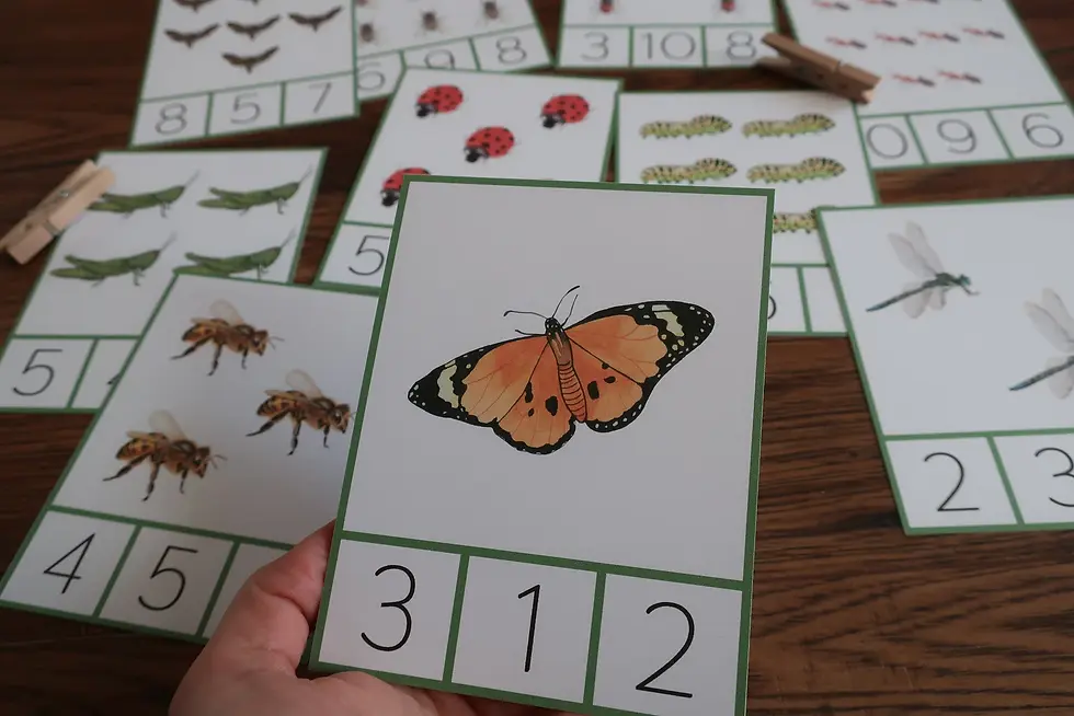 Thumbnail: Insect Preschool printable Count and clip cards 1-10