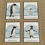 Thumbnail: Penguins of the World cards