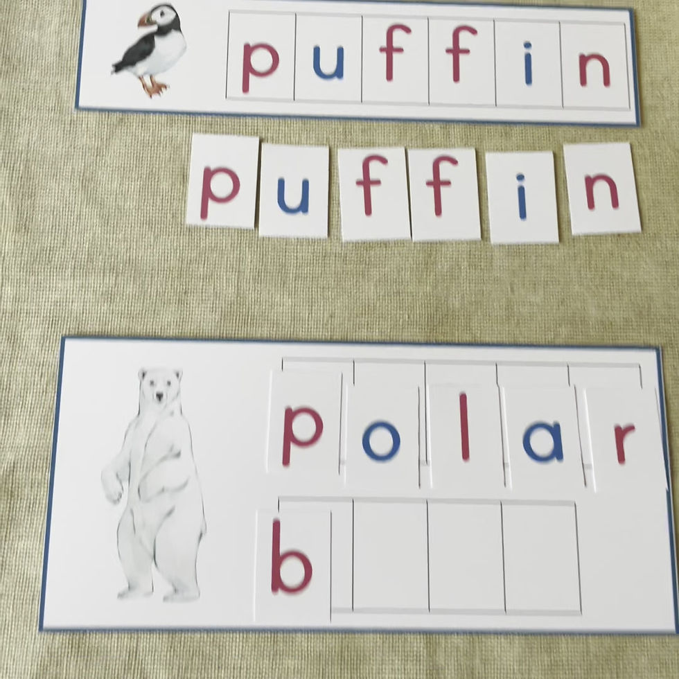 Thumbnail: Arctic Animals Montessori moveable alphabet Letter matching cards