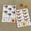 Thumbnail: Australia animal printable Count and clip cards 1-10. Preschool math.