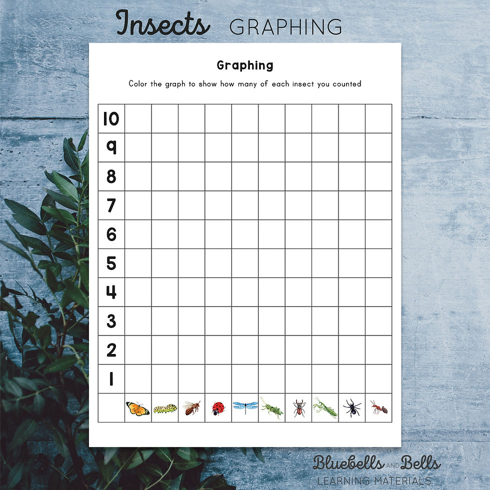 Thumbnail: Graphing insects printable worksheet. I spy activity.