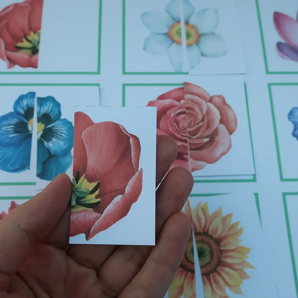 Thumbnail: Montessori Toddler puzzle Flowers Halves matching