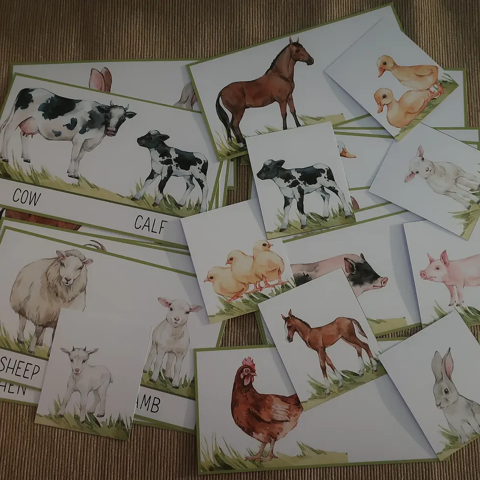 Thumbnail: Mother and baby Farm matching cards