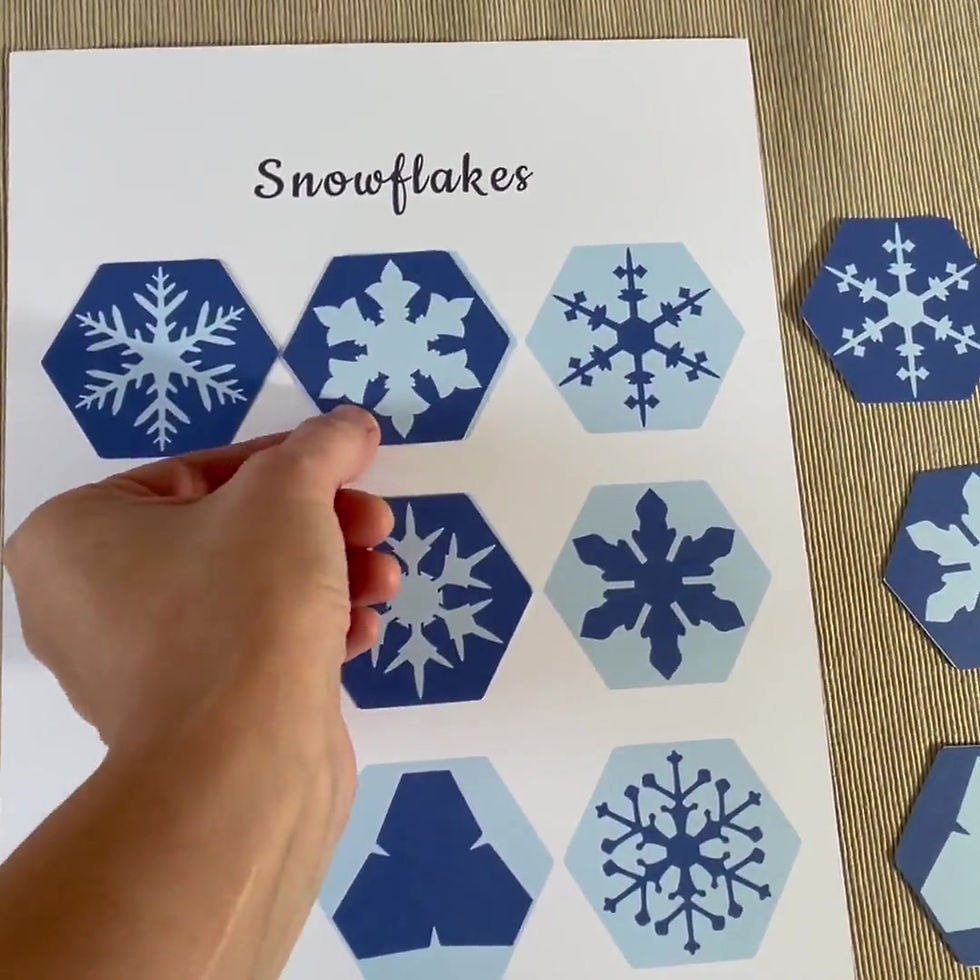 Thumbnail: Snowflakes preschool activity shadow matching