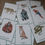 Thumbnail: Rainforest animals Cards