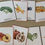 Thumbnail: Fruits and Vegetables cards
